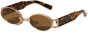 Óculos de Sol